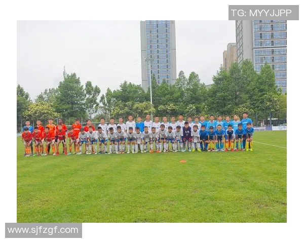 足球swe的魅力与挑战探索这项运动的未来发展与影响