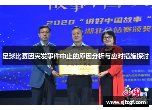 足球比赛因突发事件中止的原因分析与应对措施探讨
