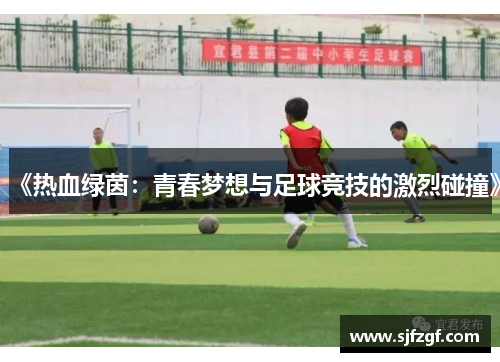 《热血绿茵：青春梦想与足球竞技的激烈碰撞》