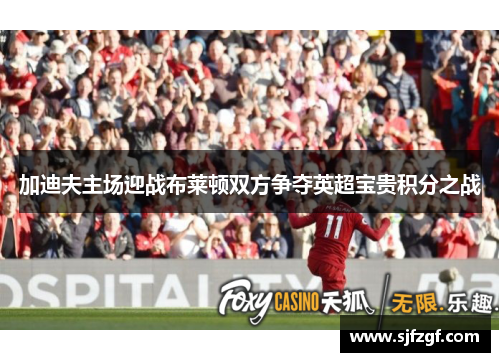 加迪夫主场迎战布莱顿双方争夺英超宝贵积分之战