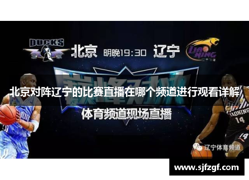 北京对阵辽宁的比赛直播在哪个频道进行观看详解