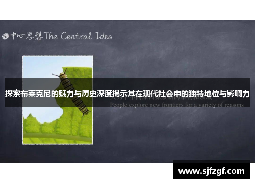 探索布莱克尼的魅力与历史深度揭示其在现代社会中的独特地位与影响力