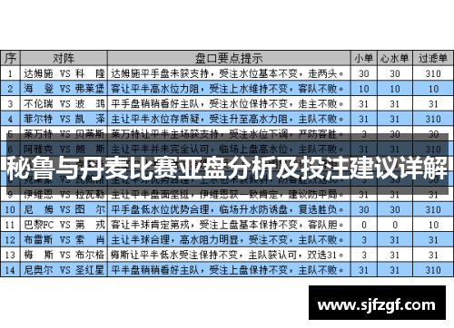 秘鲁与丹麦比赛亚盘分析及投注建议详解